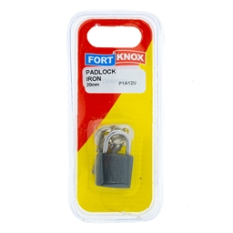 P1A12 - Iron -P1A12_IP_b_T